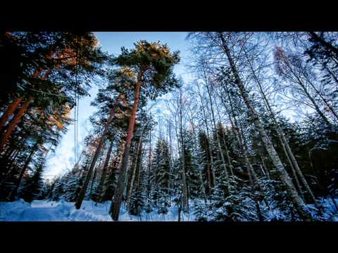 Teemu T - Solidity (Arctic dub)