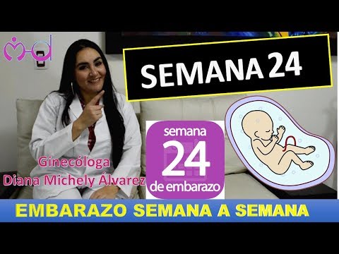 EMBARAZO SEMANA 24, EMBARAZO SEMANA A SEMANA; POR GINECOLOGA DIANA ALVAREZ