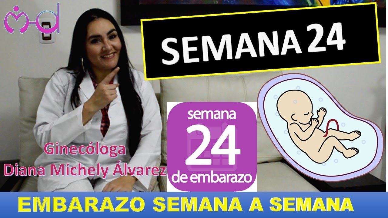 Watch EMBARAZO SEMANA 24, EMBARAZO SEMANA A SEMANA; POR GINECOLOGA DIANA ALVAREZ Now EMBARAZO SEMANA 24, EMBARAZO SEMANA A SEMANA; POR GINECOLOGA DIANA ALVAREZ