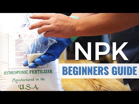A Beginners Guide: NPK in Hydroponics