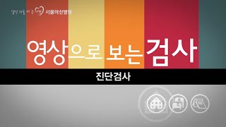 진단검사 미리보기