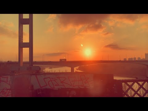 Magnetic Family - Anemoia