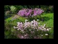 Ennio Morricone - Baci dopo il tramonto - 쇠꽃 Iron Flower Ennio Morricone - Baci dopo il tramonto