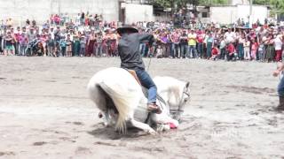 El caballo Blanco - Vicente Fernandez