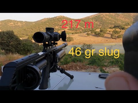 Fx m3 .25 Cal. 46 gr slug