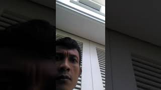 Download lagu per kicauan mania_rudi yuma mp3