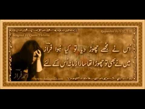 Aansoo samajh ke kyun mujhe by zaki.wmv