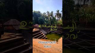 Temple video