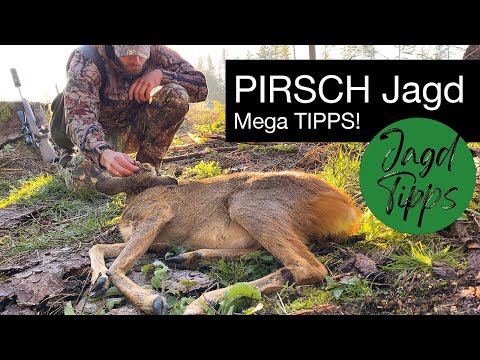 Jagd Tipps #1  |  Erfolgreich Pirschen  | Spannende Praxistipps für die Jagd