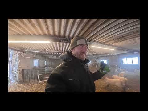 2026 Winter#18 Persidirbau... atėmė kojas