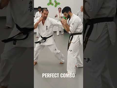 KNOCKOUT FIGHT Technique / KYOKUSHIN Karate👊