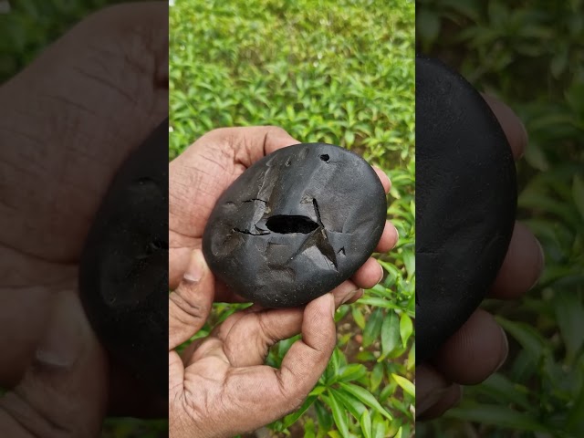 Adi Shakti Mahadevi Mahavidya Shakti Shaligram video