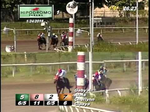 1RA CARRERA DOMINGO 24 DE ENERO 2016 HPR