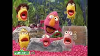 Sesamstraße - Telly&#39;s Aquarium
