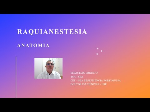 Raquianestesia - Anatomia