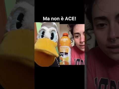 Il papero cerca di far capire alla ragazza cosa significa ACE