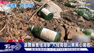 Re: [新聞] 中國禁台石斑魚 漁業署查出真相說重話了