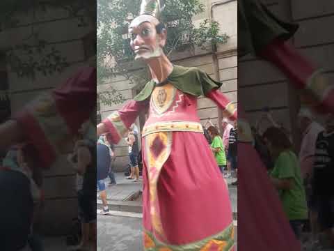 Gegants Bojos De Solsona A Sant Jaume (Barcelona)(2)