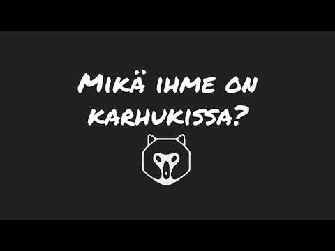 Mikä ihme on karhukissa?