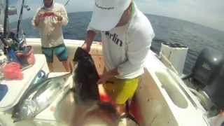 PSFL Video by G Gonzalez