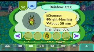 preview picture of video 'Animal crossing city folk many rare bugs'