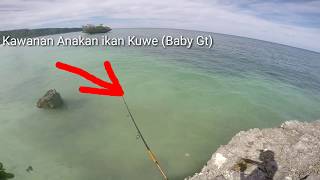 preview picture of video '#MV15 Sensasi mancing Di tebing / dikeroyok ikan kuwe'