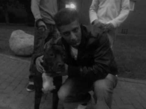 Haftbefehl - Wie die Tränen meiner Mutter