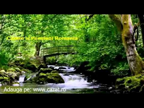 Cazare Parava, Bacau - Cazat.ro