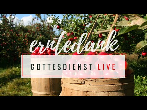 Erntedank-Gottesdienst LIVE aus Schwechat am 4.10.2020, 10:15 Uhr
