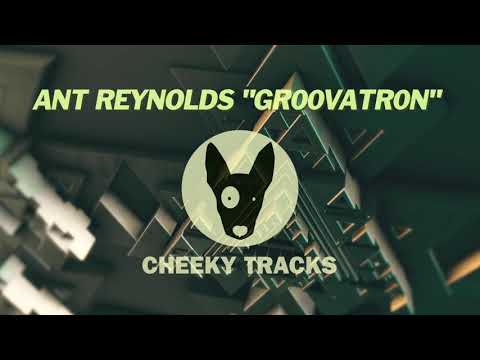Ant Reynolds - Gr00vatr0n (Cheeky Tracks)
