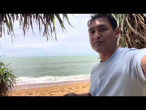 Beach Doggy Sri Lanka | ZOOM REAL ESTATE