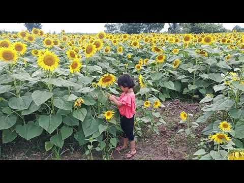 #Beauty_Of_Nature #SPRUHA