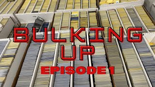 Ep #1: Bulking Up Our TCGPlayer Inventory: Build Back Better