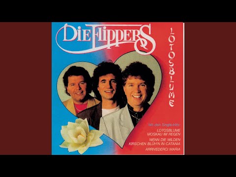 Durch das Tal der bunten Blumen