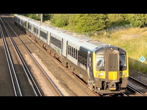SWR Class 444s passing Potbridge, SWML, 25/6/2025 | Boom Trainspots