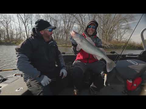 Gulp Minnow Rigging Tip