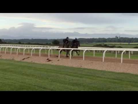 手前SWISS 奥DARK ANGEL