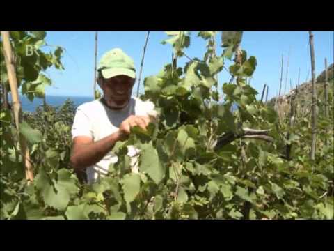 Die Pontinischen Inseln (2 von 2)