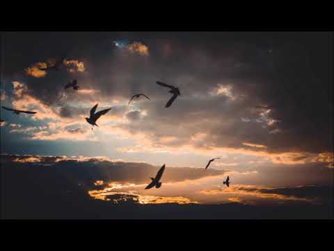 Pieter Hurter & Nicklas Löfstrand - Songbird