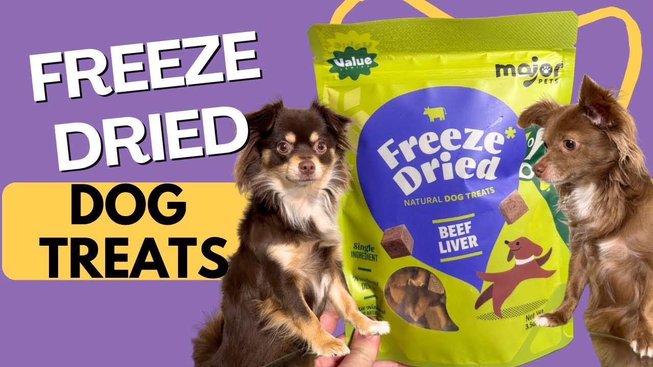 MAJOR PETS Freeze Dried Beef Liver Dog Treats REVIEW