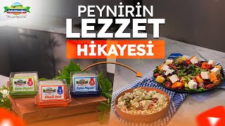 Peynirin Yolculuğu | Tahsildaroğlu ile Peynir Rehberi