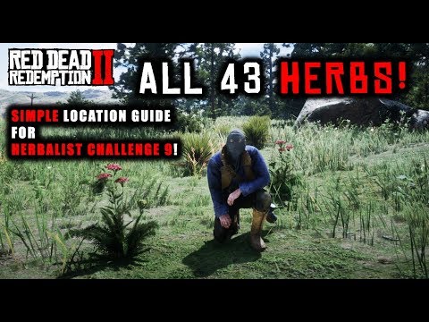 Red Dead Redemption 2 - How To Find All 43 Herbs Flowers Orchids! SIMPLE Location Guide!