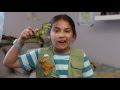 Dino Dana The Story Of Fossils Michela Luci Saara Chaudry Nicola Correia Damude