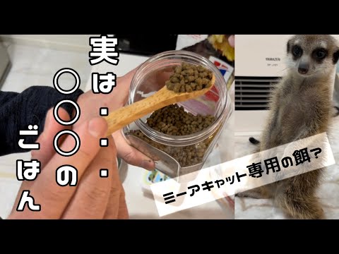 IUCN分類における絶滅の危険性を示す図。