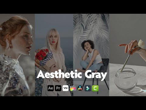 Aesthetic Gray Lut | Free lut final cut pro x | Free lut premiere pro | Free cinematic luts