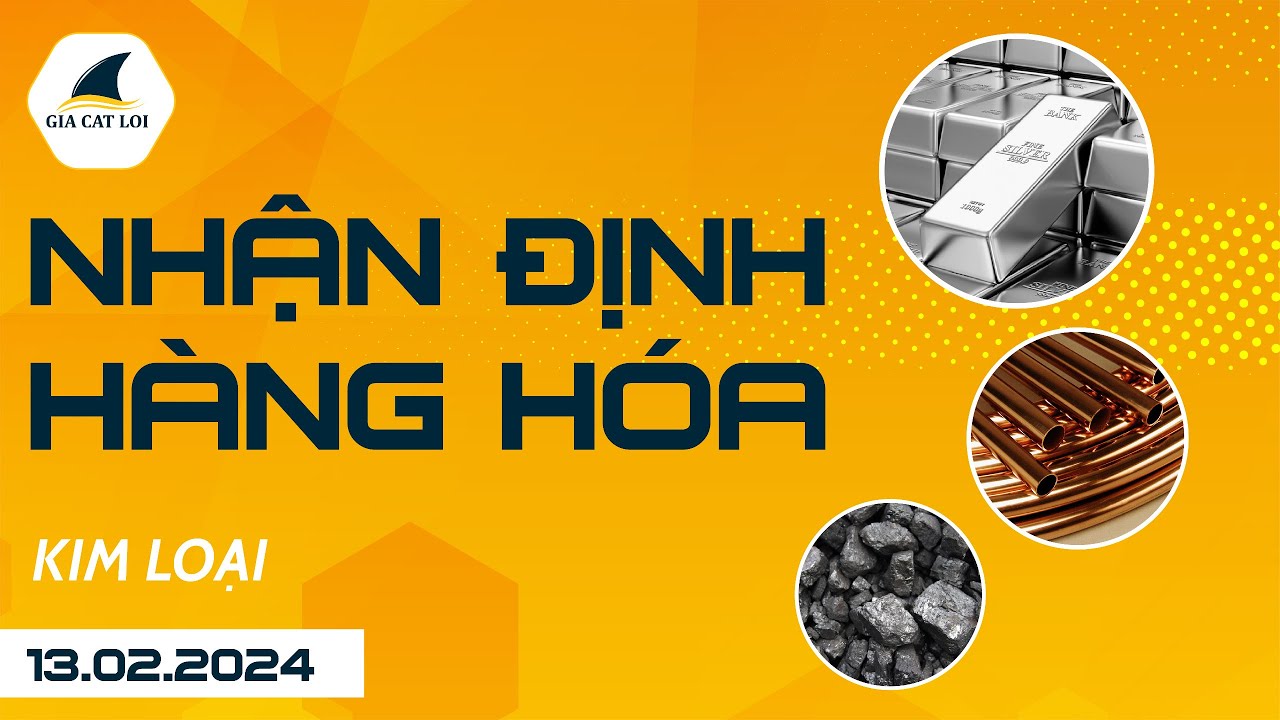 Nhận Định Thị Trường Kim Loại Ngày 13/02/2024