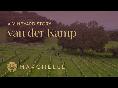 Inside One of California’s Oldest Pinot Noir Vineyards | van der Kamp Story