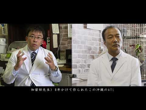 2022琉球大学案内 研究者紹介【医学部 福島教授×加留部教授】