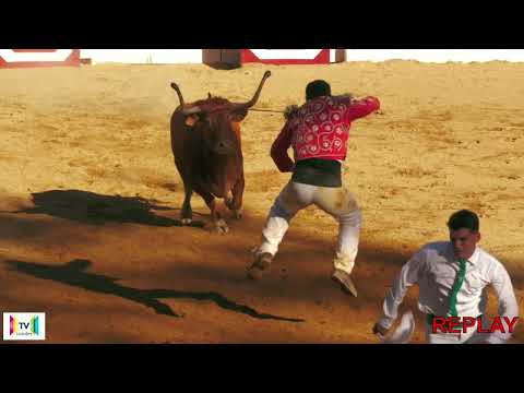 Les écarts du troisième  bloc des Chpt de France Elite de la Course Landaise