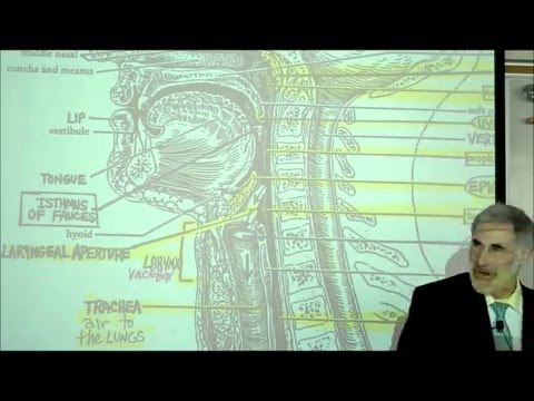 DIGESTIVE SYSTEM; PART 2; PHARYNX HEAD & NECK by Professor Fink